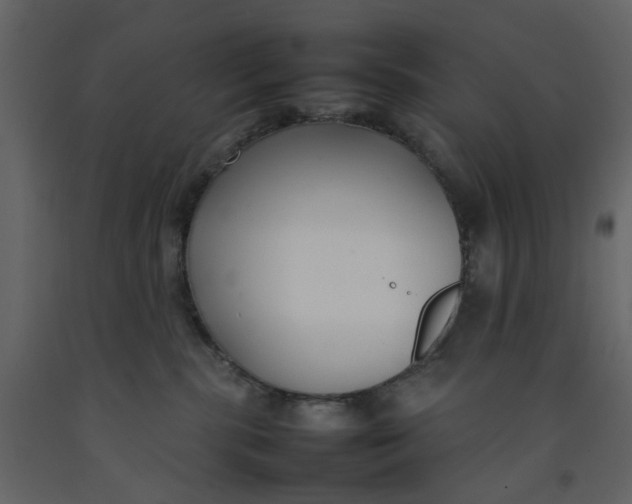 X0000092240283200710051245