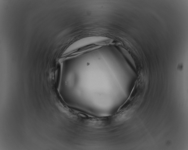 X0000092240284200710051245