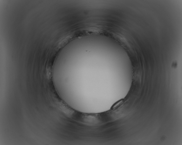 X0000092240285200710051245