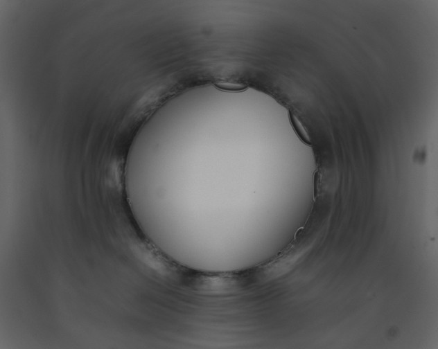 X0000092240286200710051245