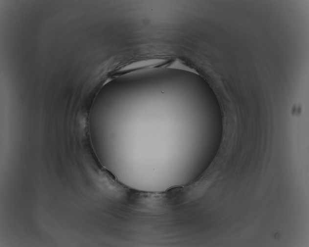 X0000092240288200710051245
