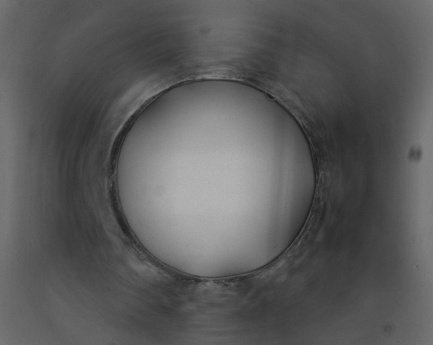 X0000092240290200710051244