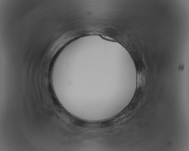 X0000092240291200710051244