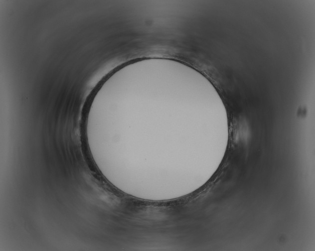 X0000092240292200710051244