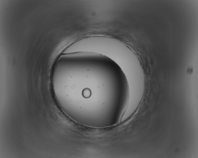 X0000092240293200710051244