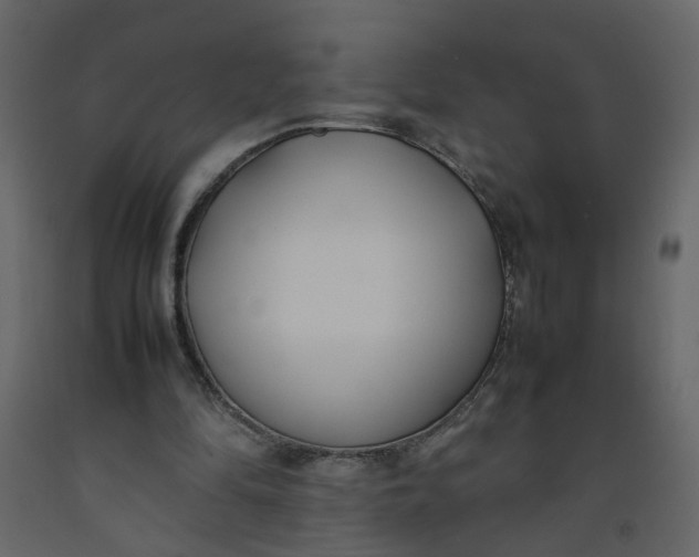 X0000092240294200710051244