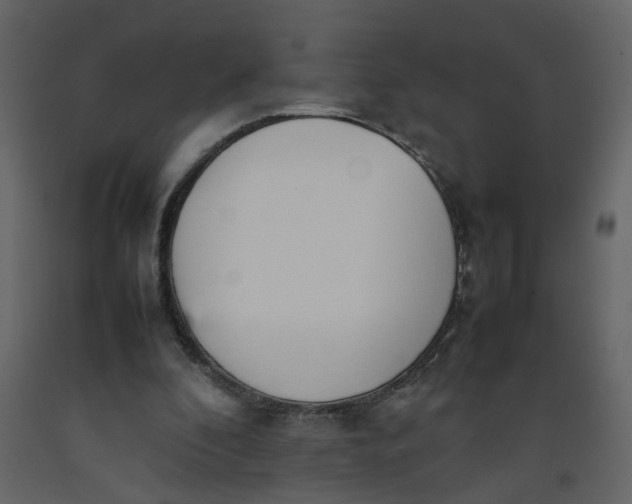 X0000092240296200710051244