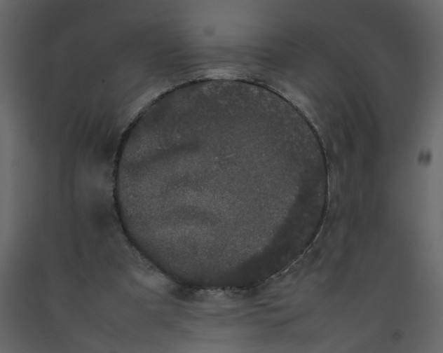 X0000092240297200710051244