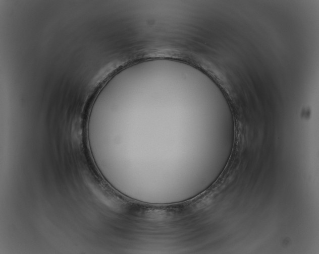 X0000092240298200710051244