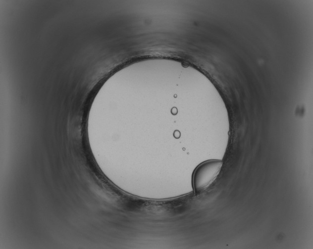 X0000092240299200710051244