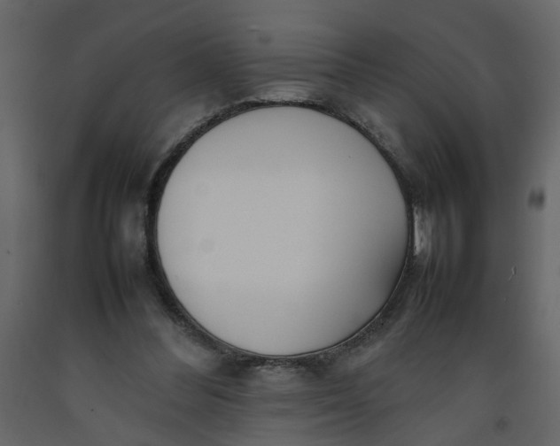 X0000092240300200710051244