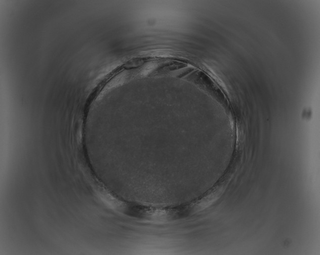X0000092240301200710051244