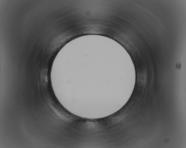 X0000092240302200710051244