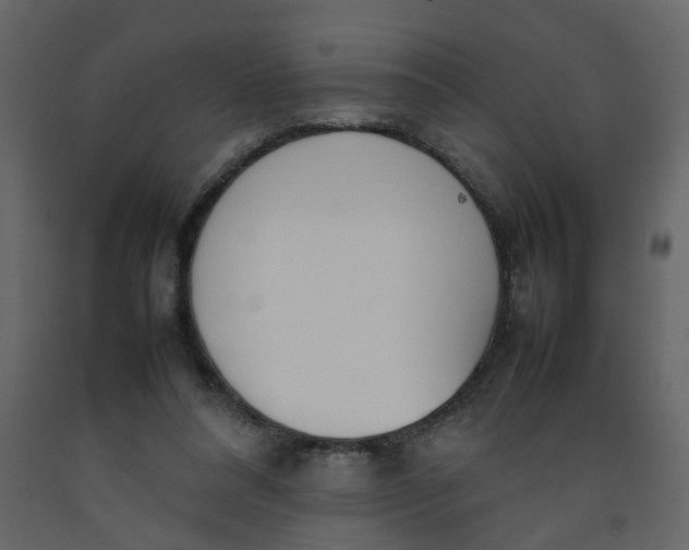 X0000092240304200710051244