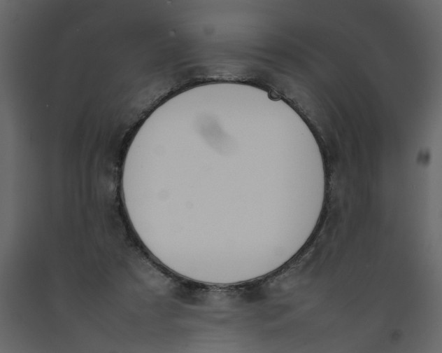X0000092240305200710051244