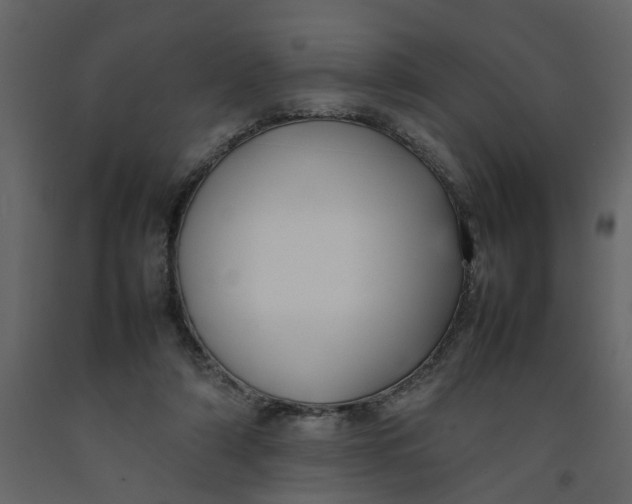 X0000092240306200710051244