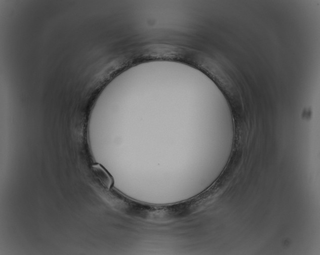 X0000092240309200710051244
