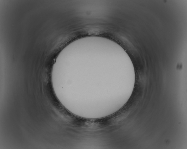 X0000092240311200710051244