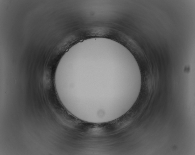 X0000092240312200710051244