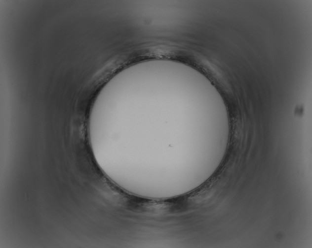 X0000092240313200710051244