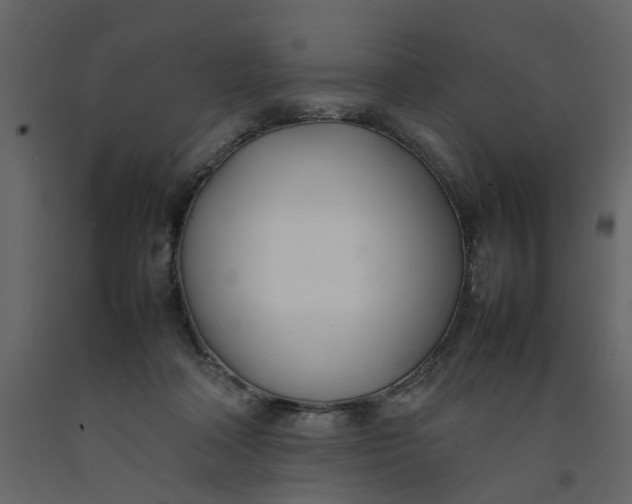 X0000092240314200710051244