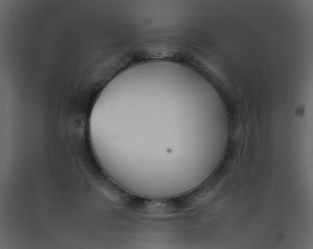 X0000092240315200710051244