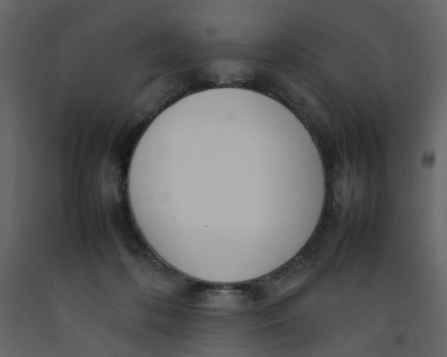 X0000092240316200710051244