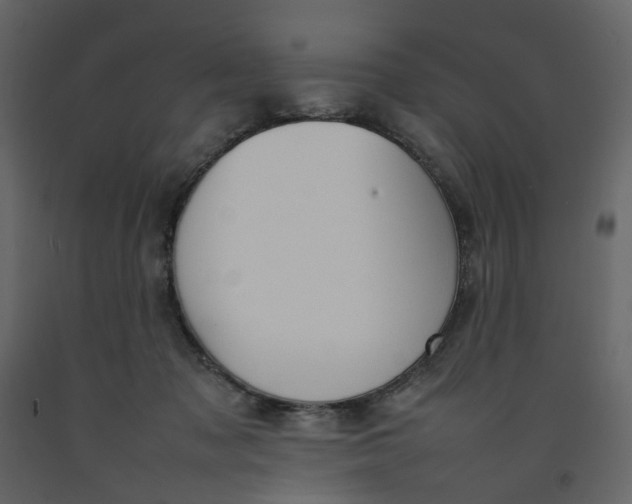 X0000092240317200710051244