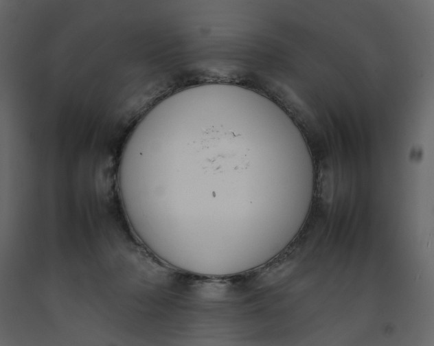 X0000092240318200710051244
