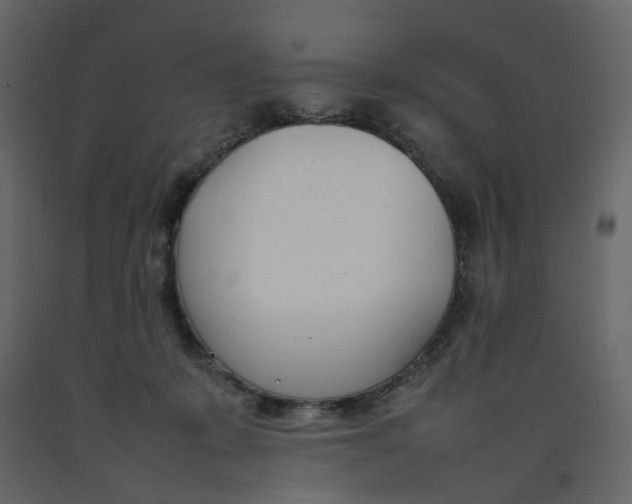 X0000092240319200710051244