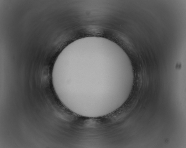 X0000092240320200710051244