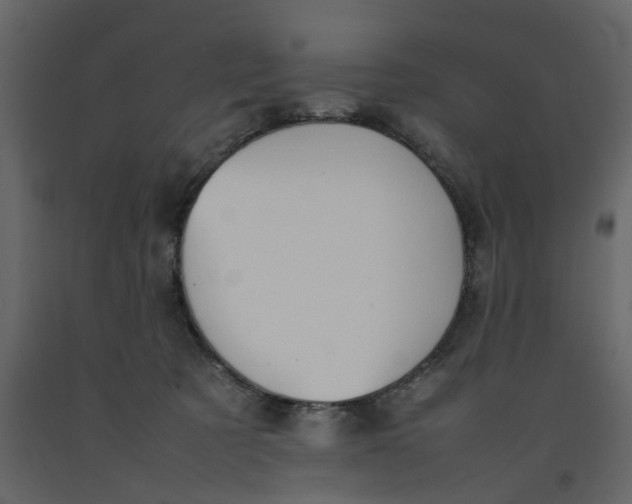 X0000092240321200710051244
