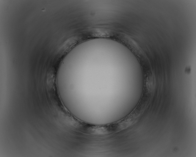 X0000092240322200710051244