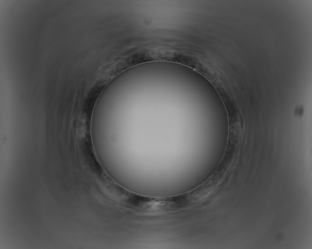 X0000092240323200710051244