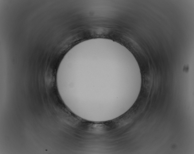 X0000092240324200710051244