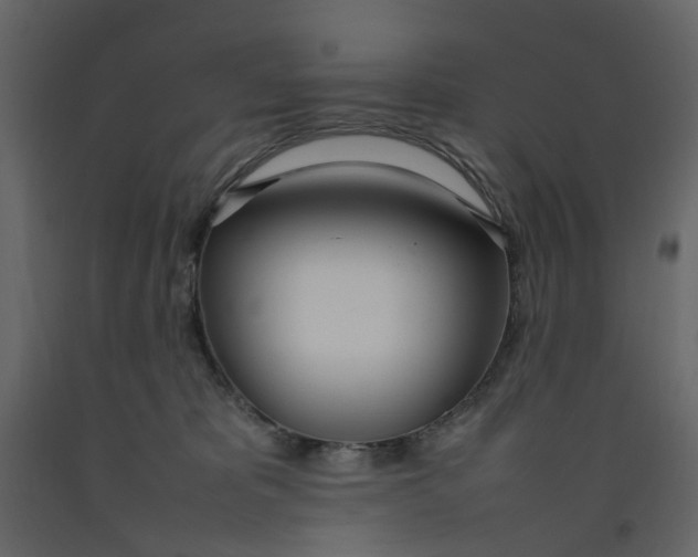 X0000092240325200710051244