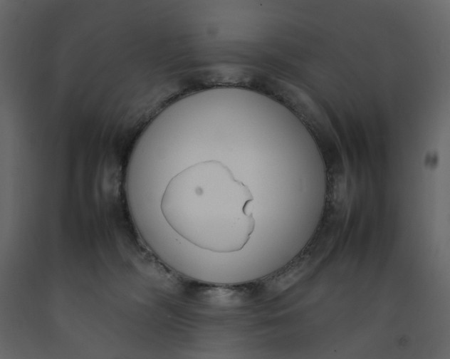 X0000092240326200710051244