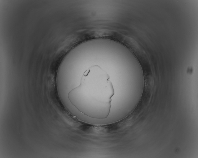 X0000092240327200710051244
