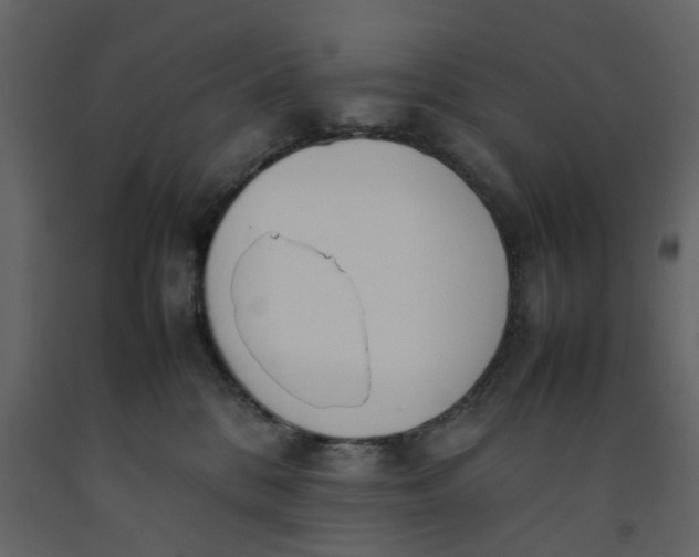 X0000092240328200710051243