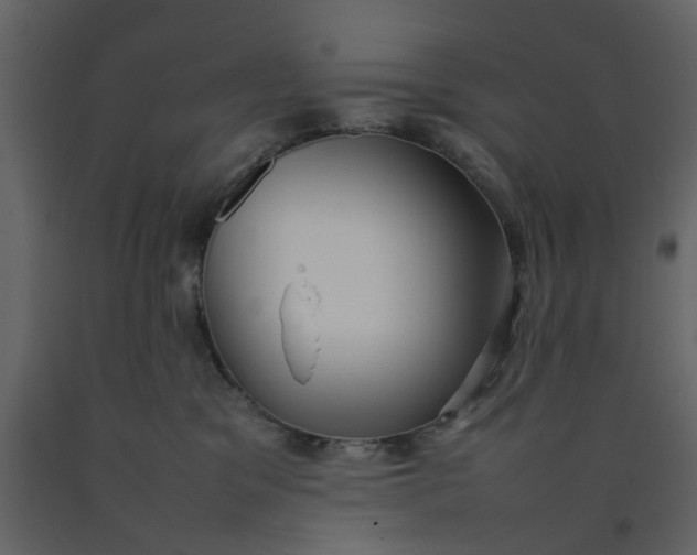 X0000092240329200710051243