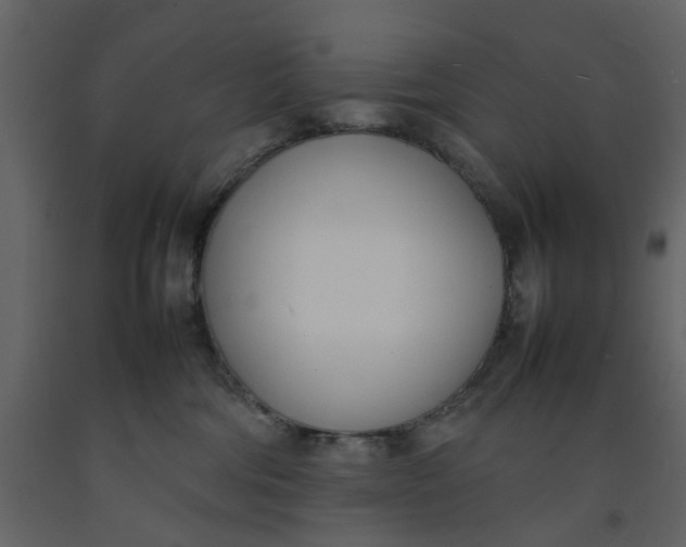 X0000092240330200710051243