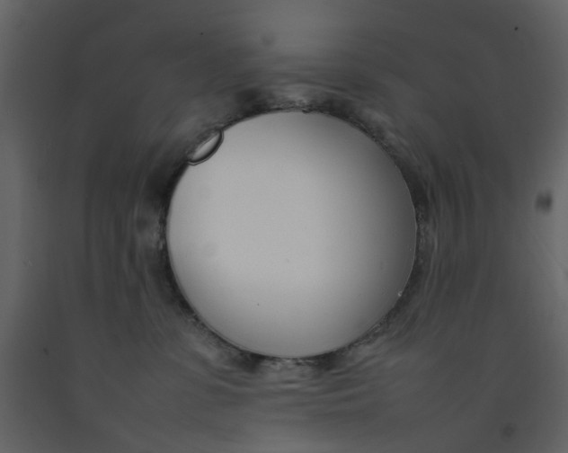 X0000092240331200710051243