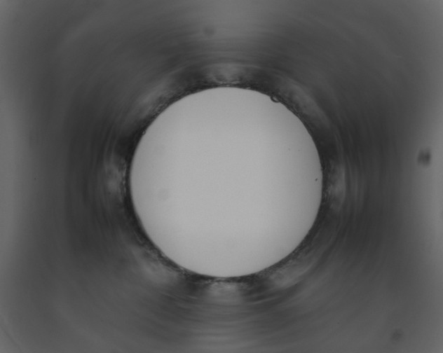X0000092240332200710051243