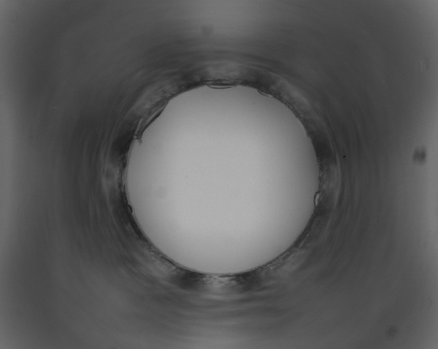 X0000092240333200710051243