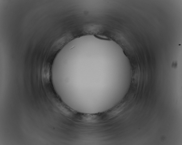 X0000092240334200710051243