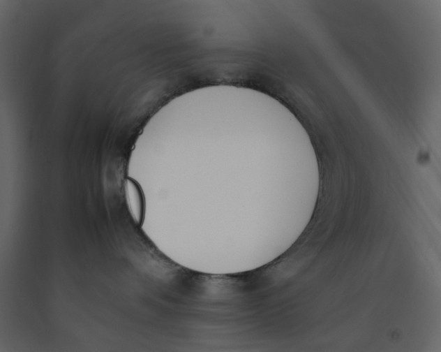 X0000092240336200710051243