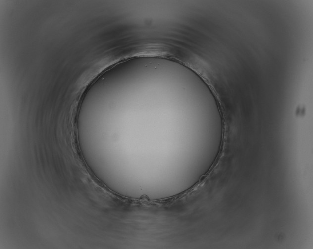 X0000092240337200710051243