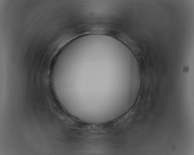 X0000092240338200710051243