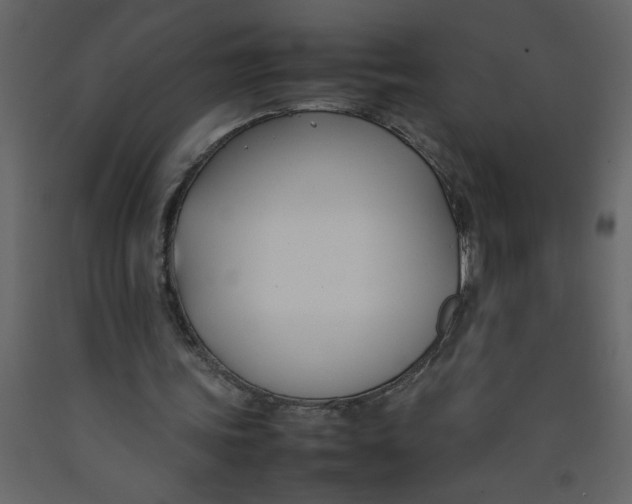 X0000092240339200710051243