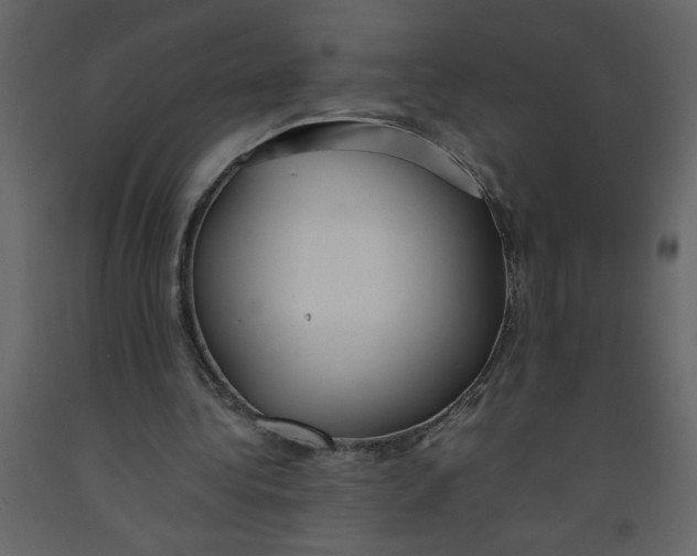 X0000092240340200710051243